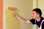 Ako na maľovanie stien v byte